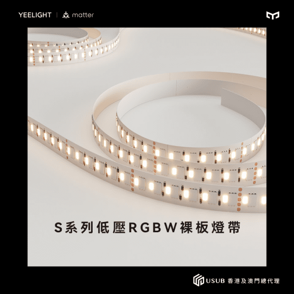 S系列 低壓RGBW裸版燈帶10米 - LINKO SMART TECHNOLOGY LIMITED