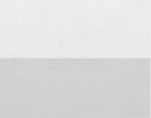 Zebra Blinds - LINKO SMART TECHNOLOGY LIMITED