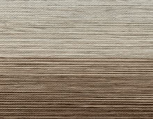 Zebra Blinds - LINKO SMART TECHNOLOGY LIMITED