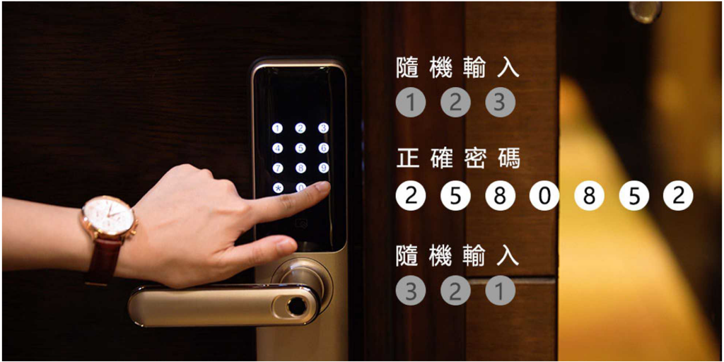 Schneider Electric S51 Smart Door Lock_Virtual password_High security
